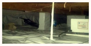 Crawl Space Mold Removal PLant City FL