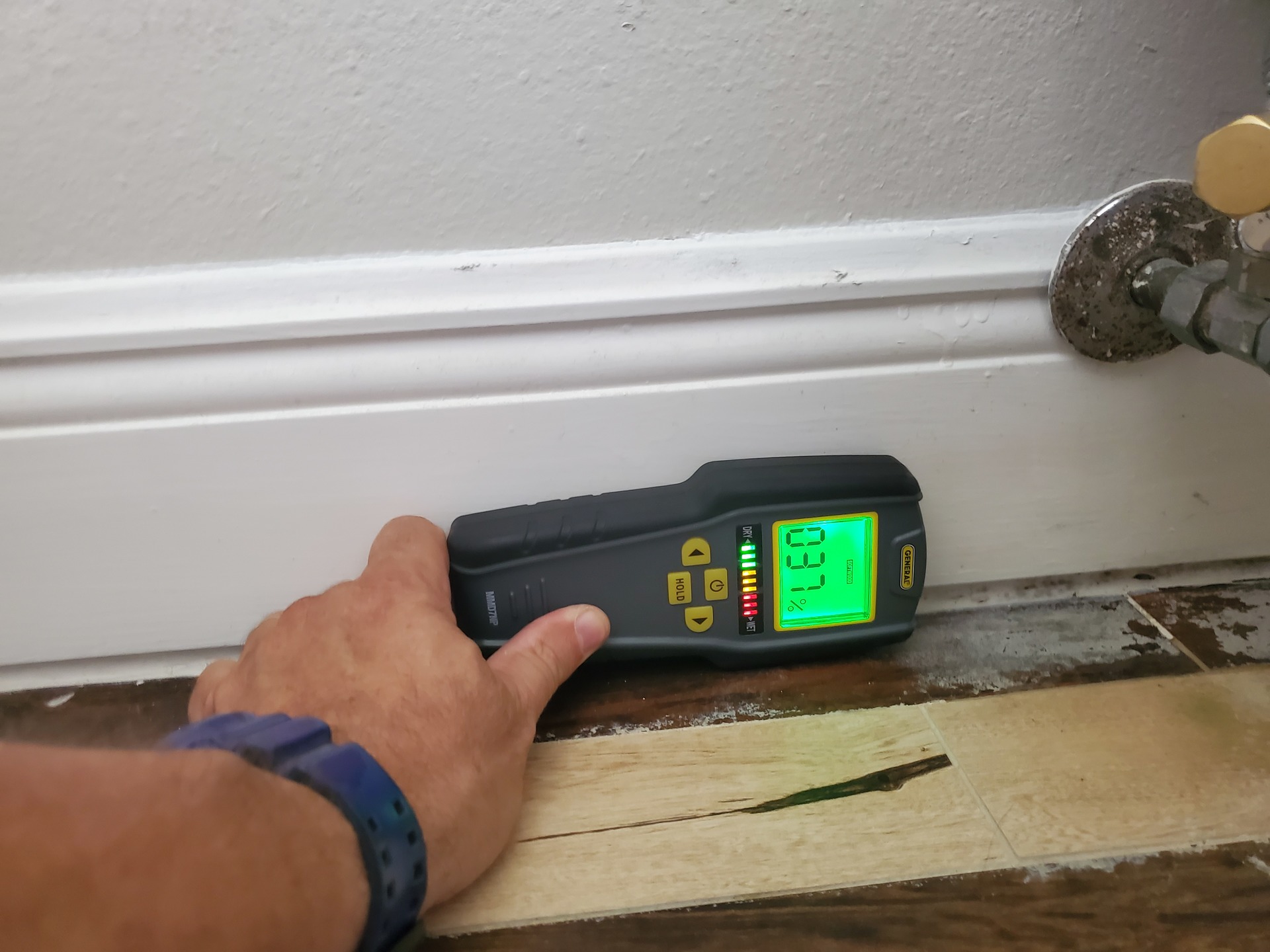Mold Inspection Tampa FL Moisture Meter Image